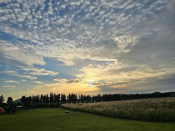 [코리안드림은 제주의 여명처럼 시대의 비전으로 밝아오고 있다]